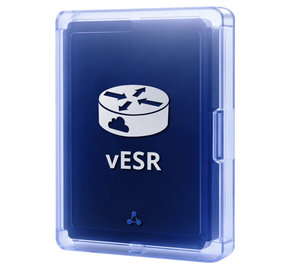 Виртуальный сервисный маршрутизатор vESR