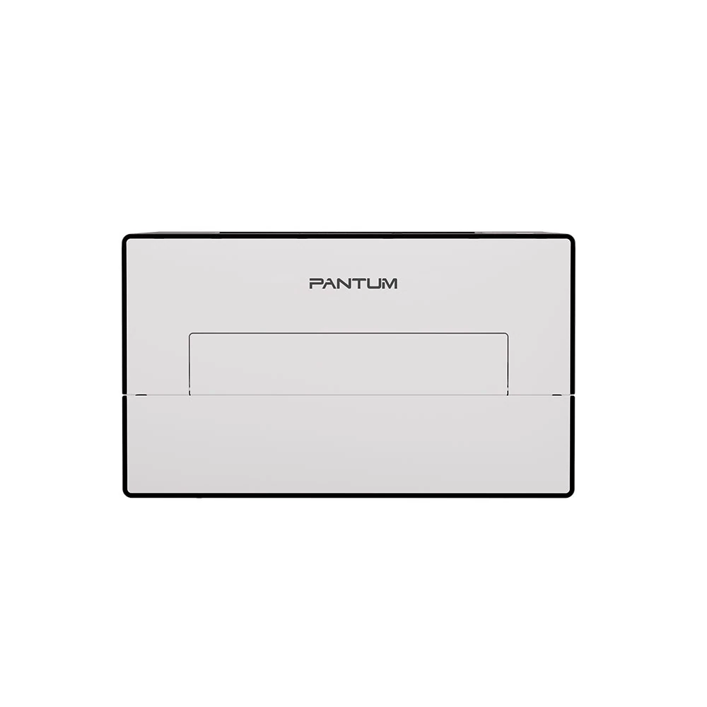 Pantum BP4211DW — вид устройства