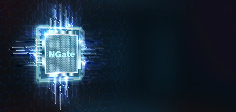Официальная иллюстрация КриптоПро NGate